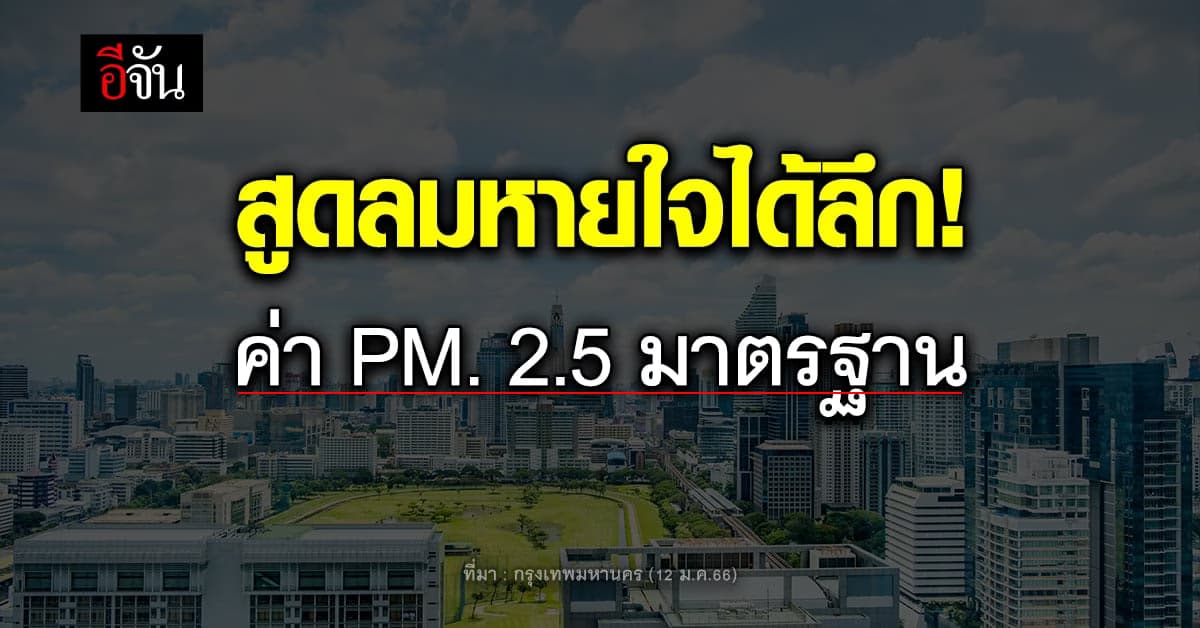 สูดลมหายใจได้ลึก! ไม่จาม ไม่คันจมูก ค่าฝุ่น PM 2.5 มาตรฐาน