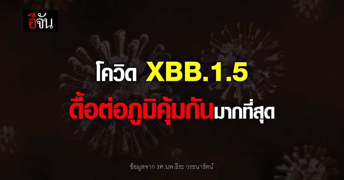 หมอธีระ เผยข้อมูล โอมิครอน XBB.1.5 ดื้อภูมิคุ้มกันมากที่สุด