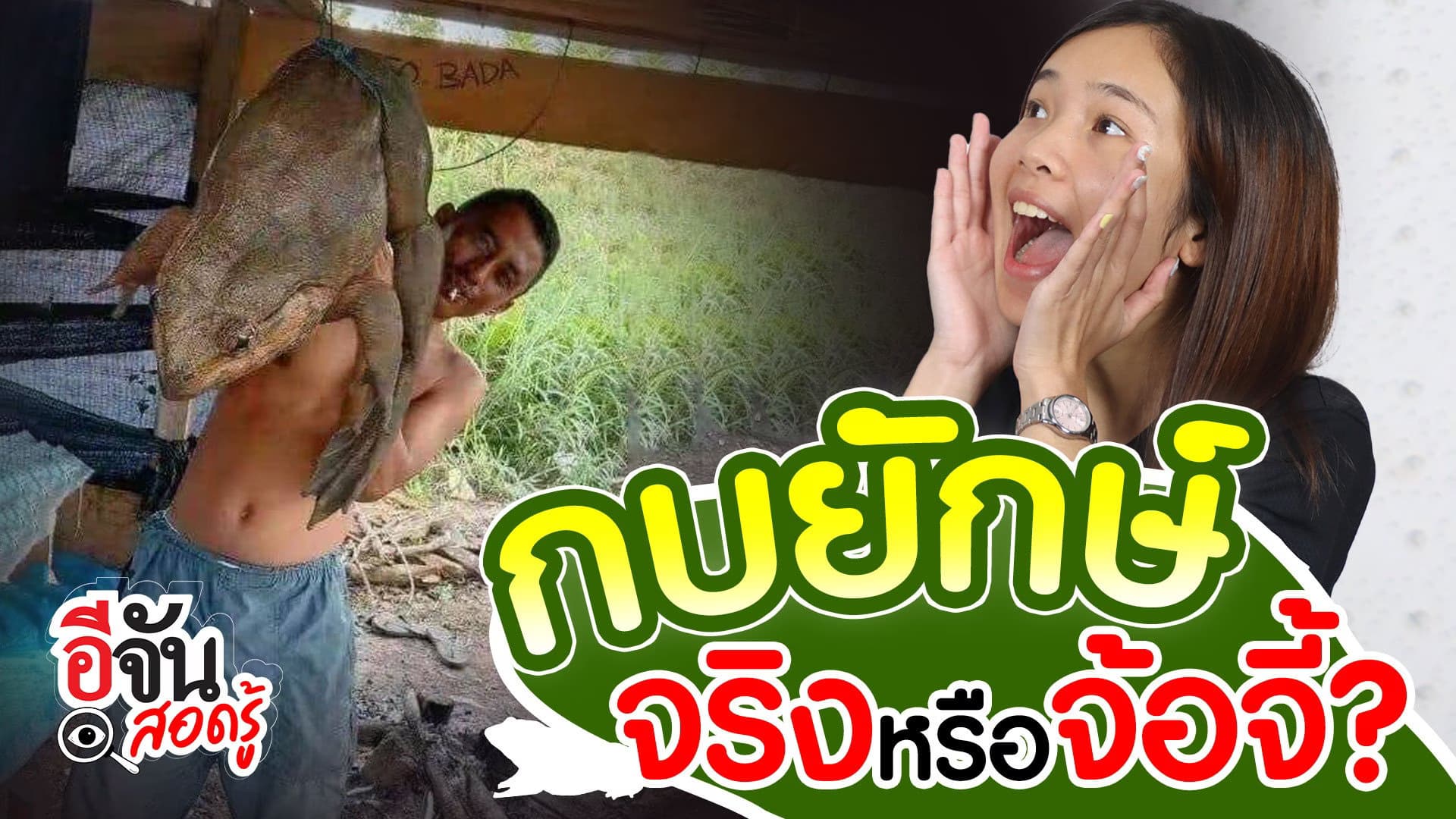 🎬 โอ้มายก็อดดดด กบยักษ์! เรื่องจริงหรือจ้อจี้