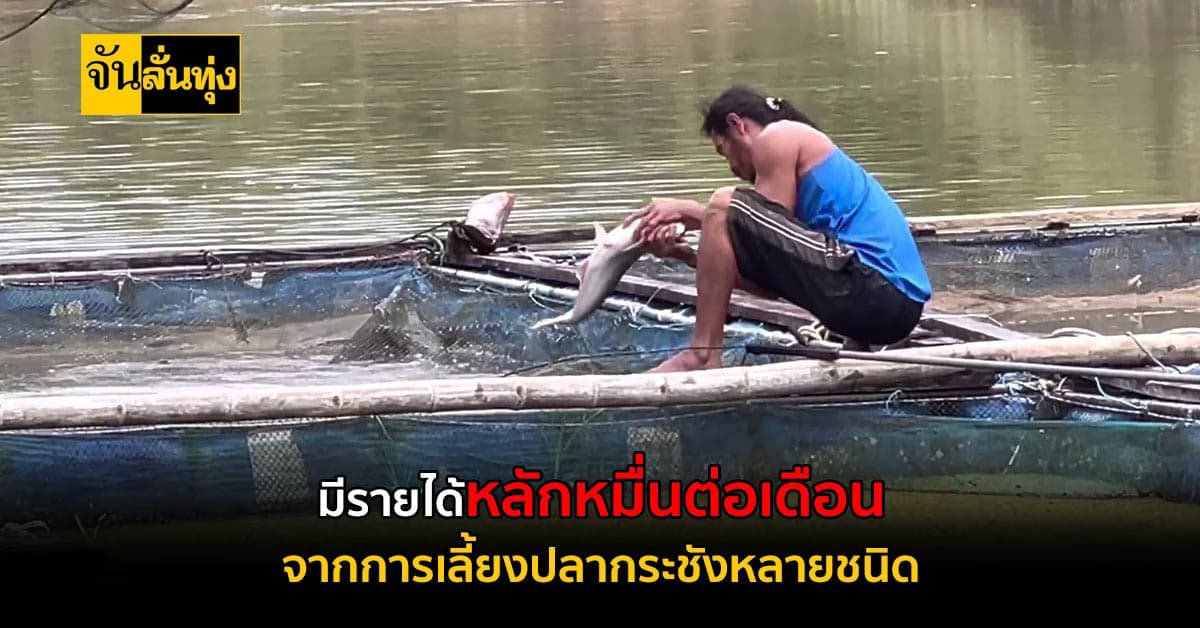 เลี้ยงปลาในกระชัง สร้างรายได้ครึ่งแสนต่อเดือน