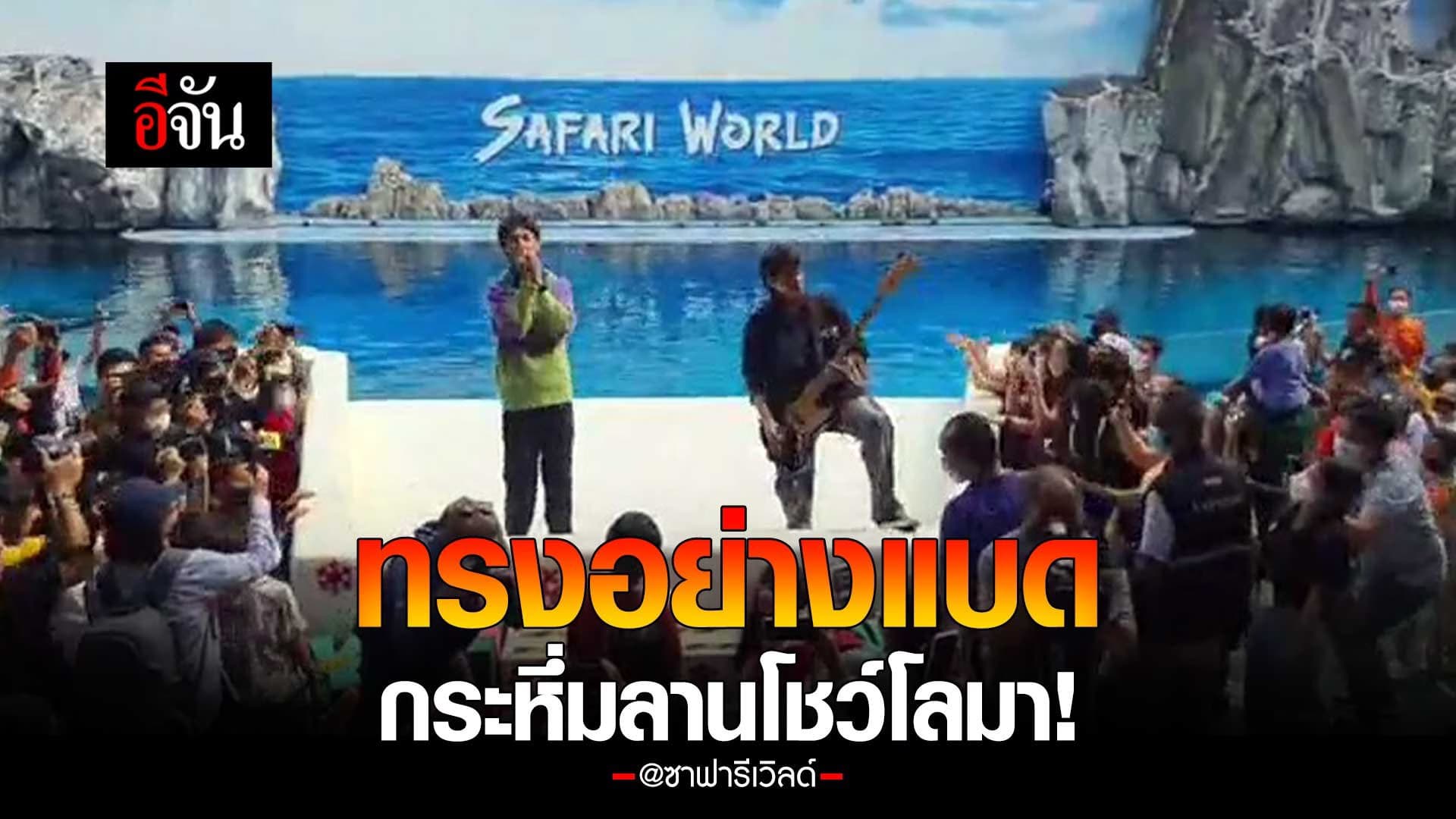 🎬 ทรงอย่างแบด กระหึ่มลานโชว์โลมา! @ซาฟารีเวิลด์