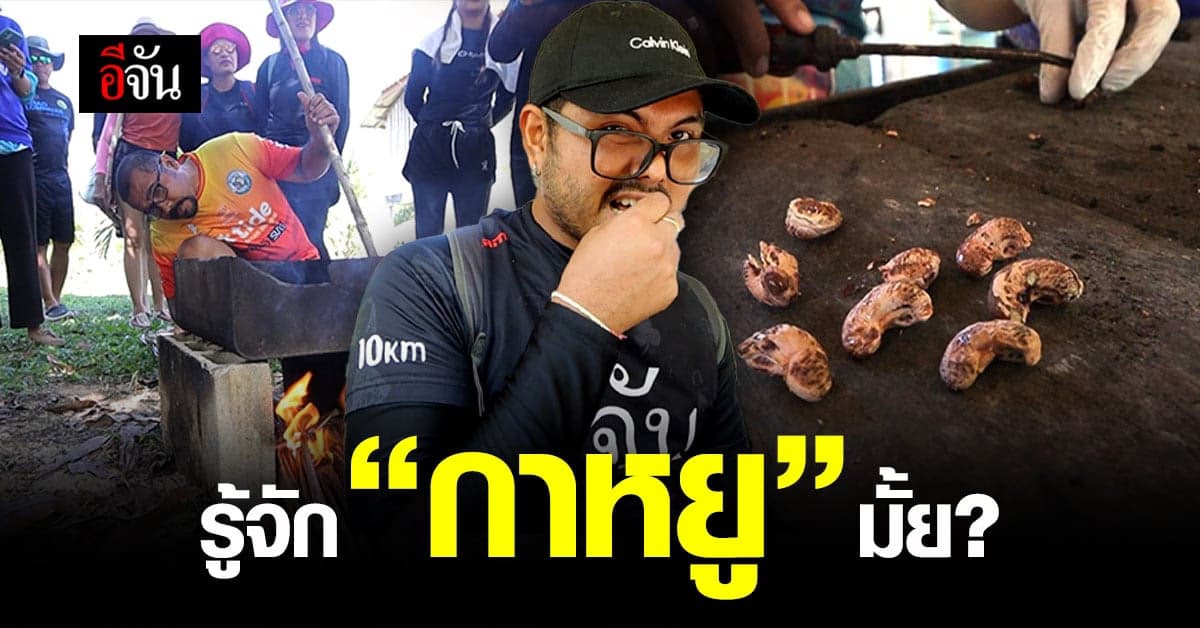 ลงเกาะพยาม ดูวิธีการคั่วเม็ด “กาหยู” หรือ “มะม่วงหิมพานต์” แบบดั้งเดิม