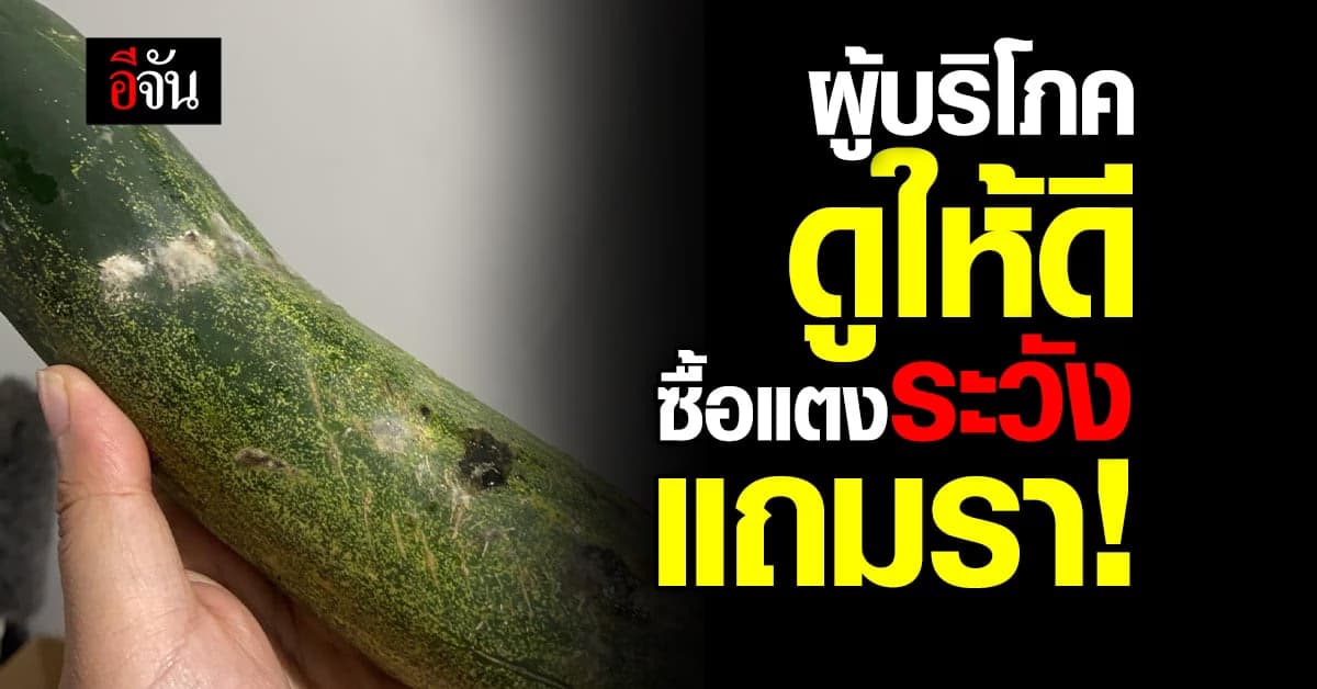 เรื่องราวจากกลุ่มผู้บริโภค ซื้อแตงจากห้างดัง แต่ได้ของแถมเป็นรา!