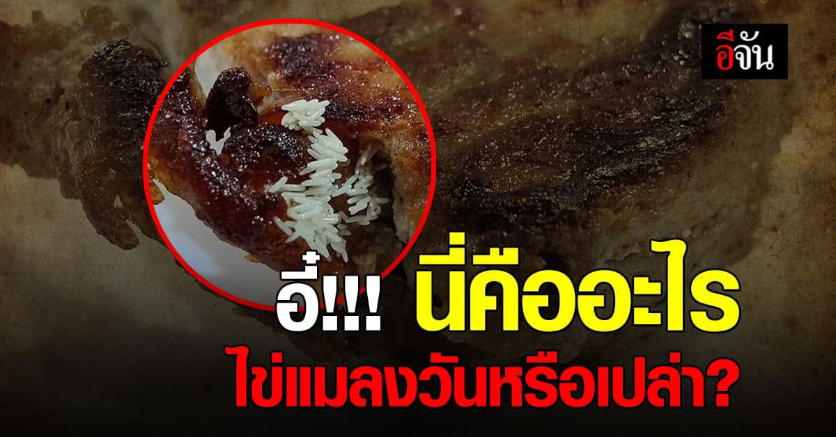 อี๋! หนุ่มโพสต์ถามหลังเจอสิ่งแปลกปลอมในอาหาร นี่ไข่แมลงวันหรือเปล่า?