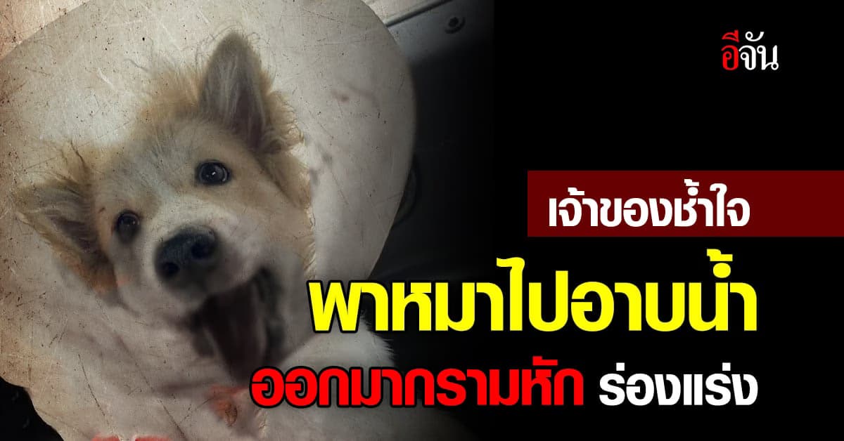 สุดสงสาร! น้องหมาเลือดกบปาก ร้านอาบน้ำอ้างเพราะกัดฝักบัว