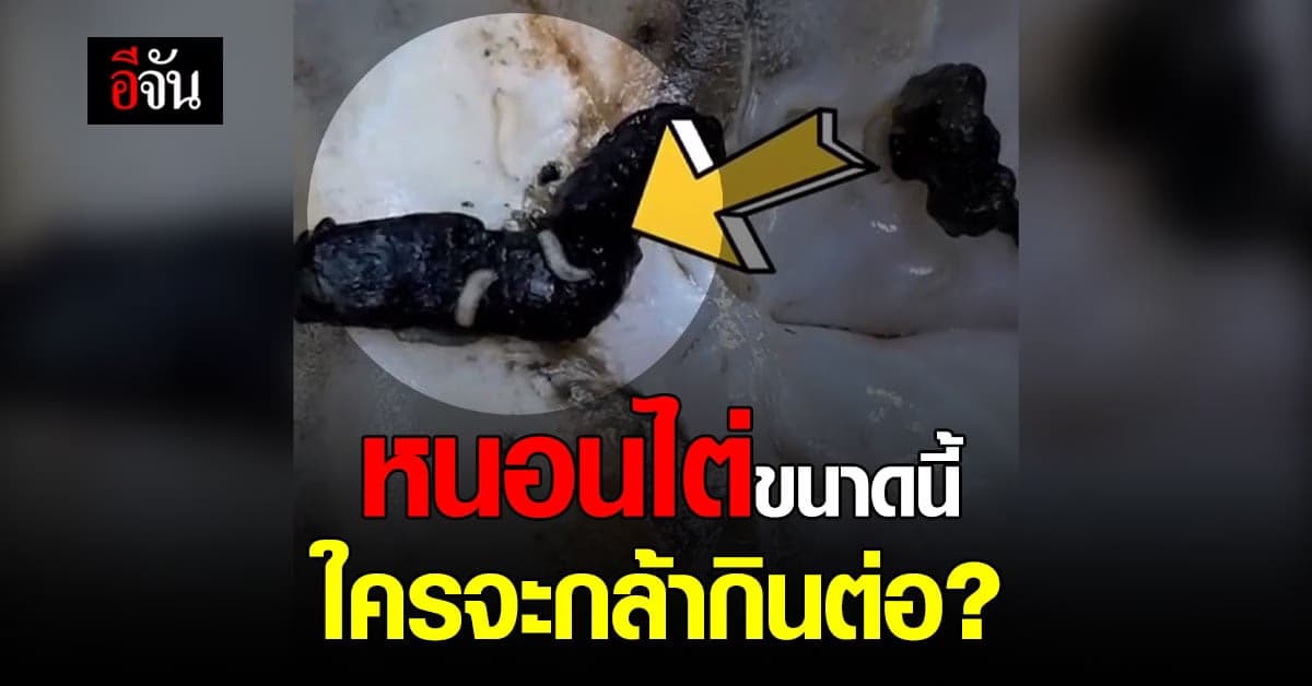 ยี้! สาวเจอหนอนตัวเป็นๆ ไต่ในปู ที่ปิ้งบนเตา ในร้านอาหาร