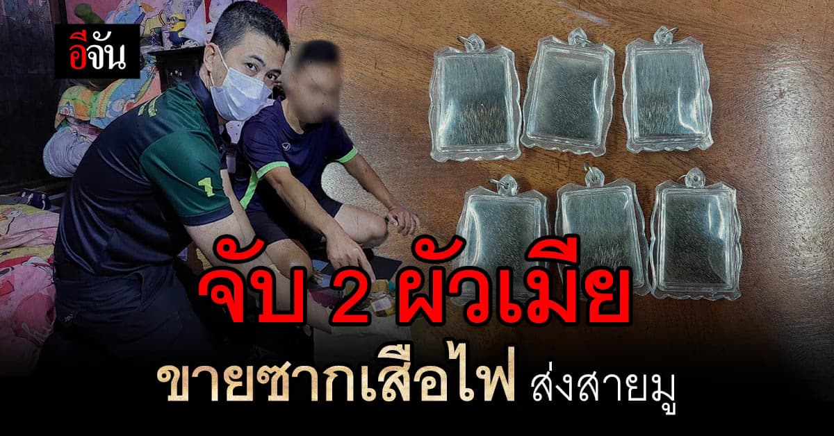 ตร.สอบสวนกลาง รวบ 2 ผัวเมีย ลอบขาย ซากเสือไฟ ให้ ลูกค้าสายมู