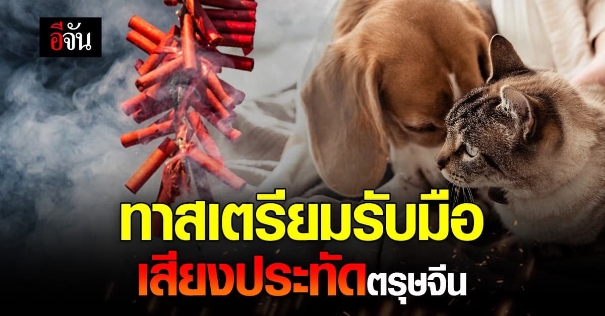 ทาสหมา-ทาสแมว ทั้งหลาย ตรุษจีนนี้ ดูแลเจ้านาย จาก เสียงประทัด ให้ดี