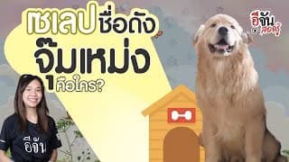 พามารู้จักกับ เซเลปชื่อดัง เจ้าของเสียง จุ๊มเหม่งมีอะไร