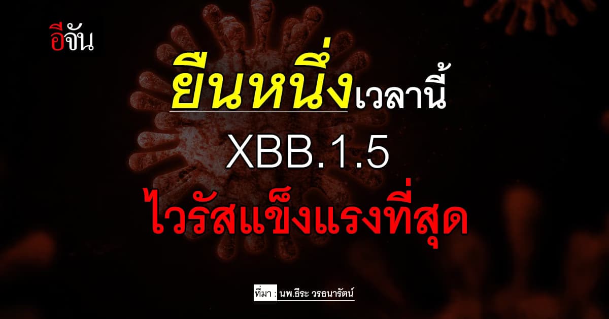 งานวิจัยชี้ โควิดสายพันธุ์ XBB.1.5 เป็นไวรัสแข็งแรงที่สุดในเวลานี้