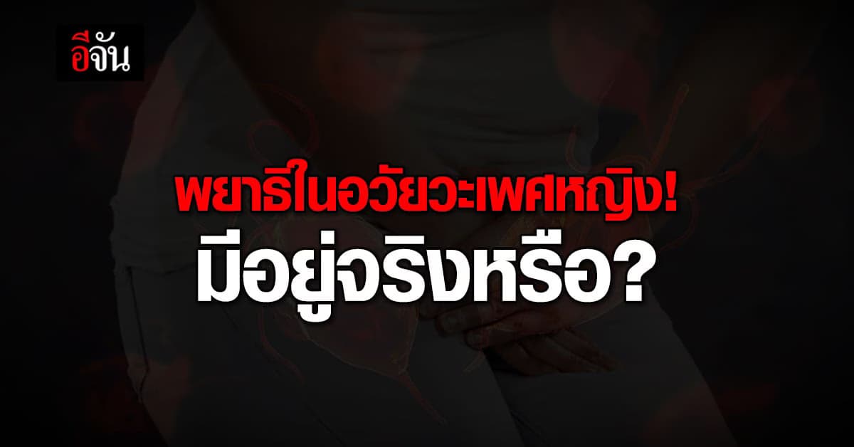 หมอแล็บแพนด้า แชร์ข้อมูล พยาธิในอวัยวะเพศหญิง มีอยู่จริง