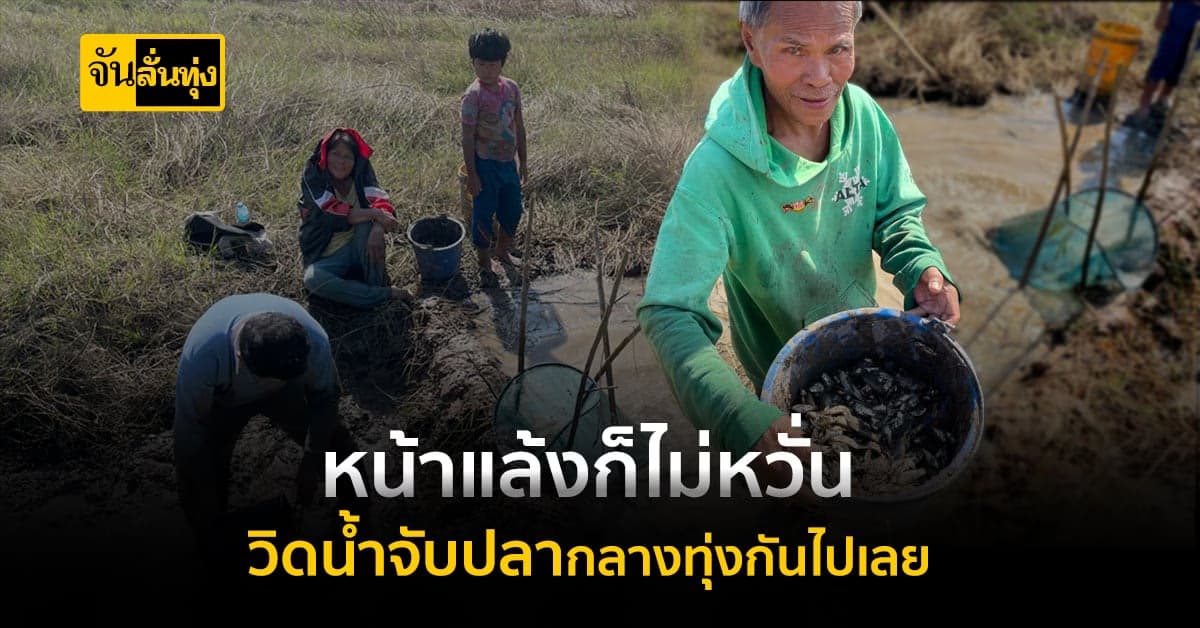 หน้าแล้ง มาแล้วจ้า! ชาวบ้านชวนกัน วิดน้ำจับปลา กลางทุ่งนา