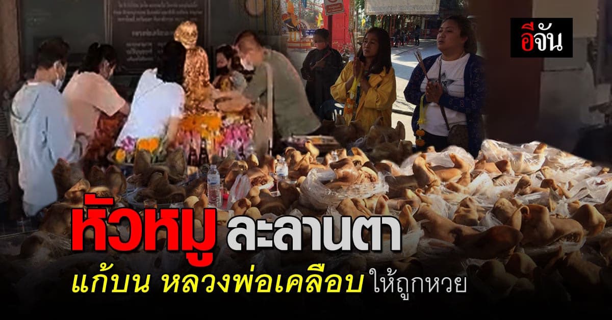 เจ้าของร้านตามสั่ง หอบหัวหมู แก้บนหลวงพ่อเคลือบ หลัง ถูกหวย สมใจหวัง