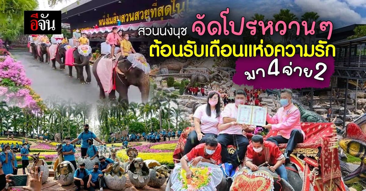 โปรหวานๆ สวนนงนุชจัดเต็มมา4 จ่าย 2 และกิจกรรมจดทะเบียนสมรสบนหลังช้าง