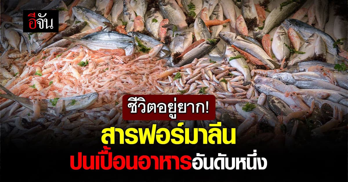 ช็อก! กรมอนามัย พบ อาหารปนเปื้อนสารฟอร์มาลีนสูงอันดับหนึ่ง