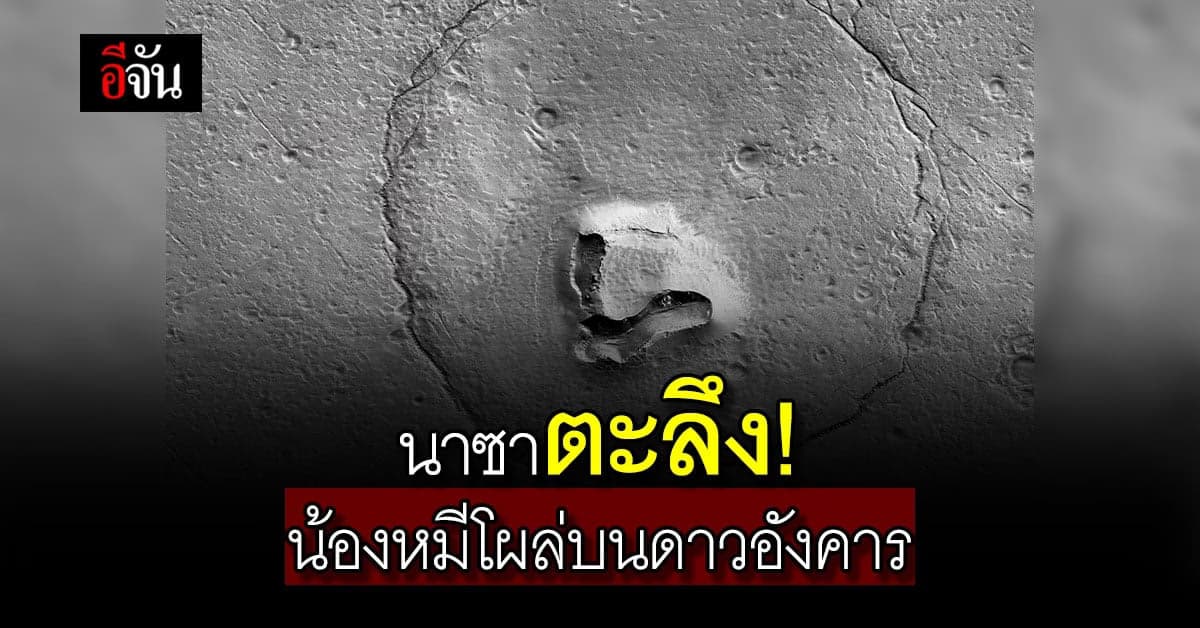 ยานสำรวจนาซาค้นพบ ใบหน้าคล้ายหมีขนาดยักษ์ บนพื้นผิวดาวอังคาร