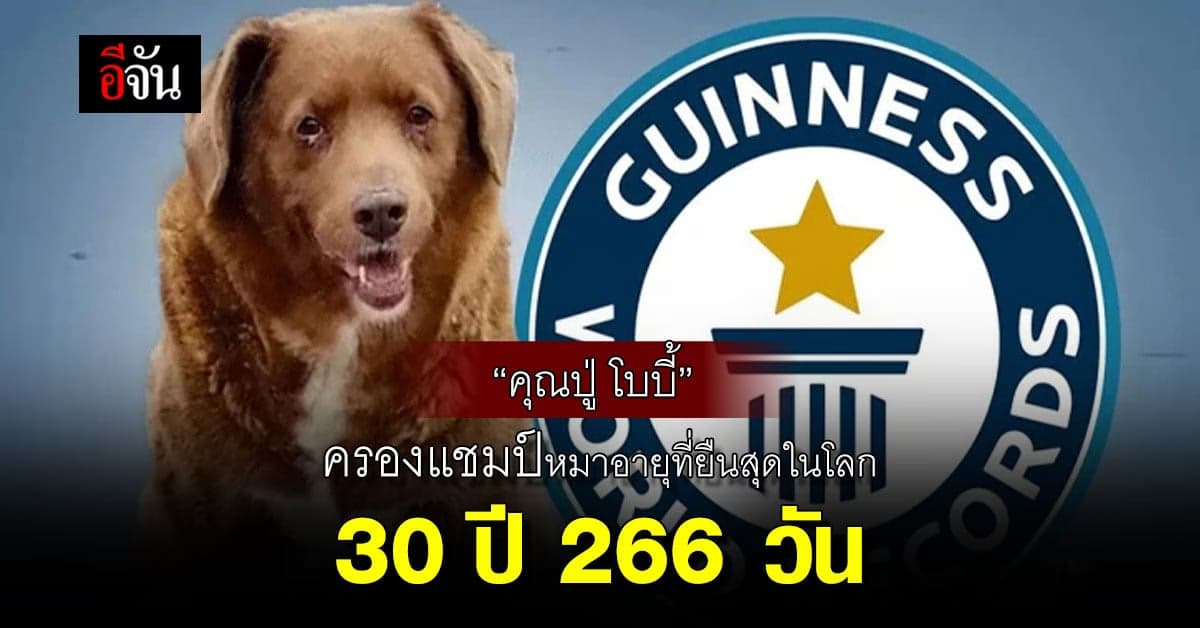 “โบบี้” สุนัขที่อายุยืนสุดในโลก 30 ปี 266 วัน ทำลายสถิติ กินเนสส์บุ๊ก