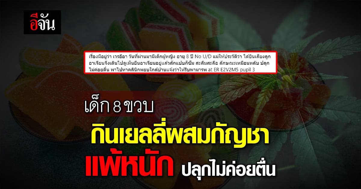 หมอเตือน! เด็ก 8 ขวบ เผลอกินเยลลี่ผสมกัญชา แพ้หนัก แขนขาไร้แรง