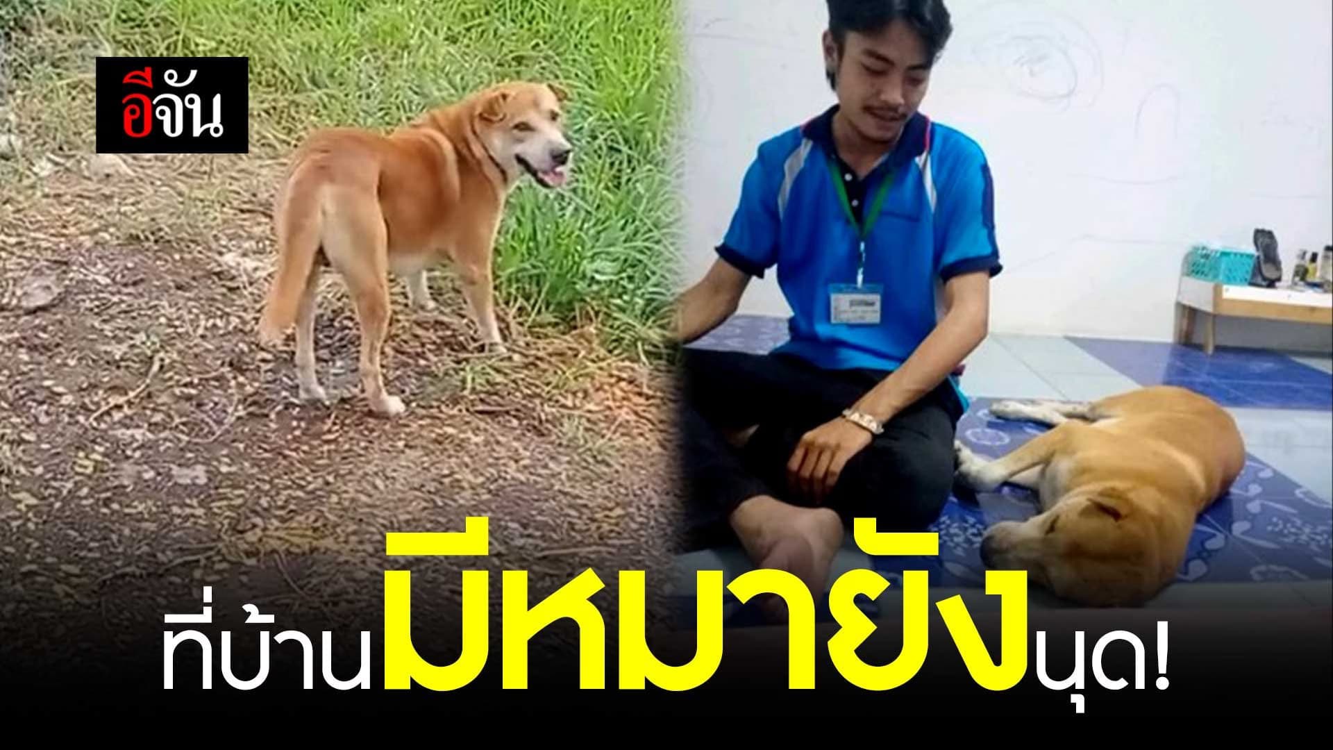 🎬 ที่บ้านมีหมายังนุด!