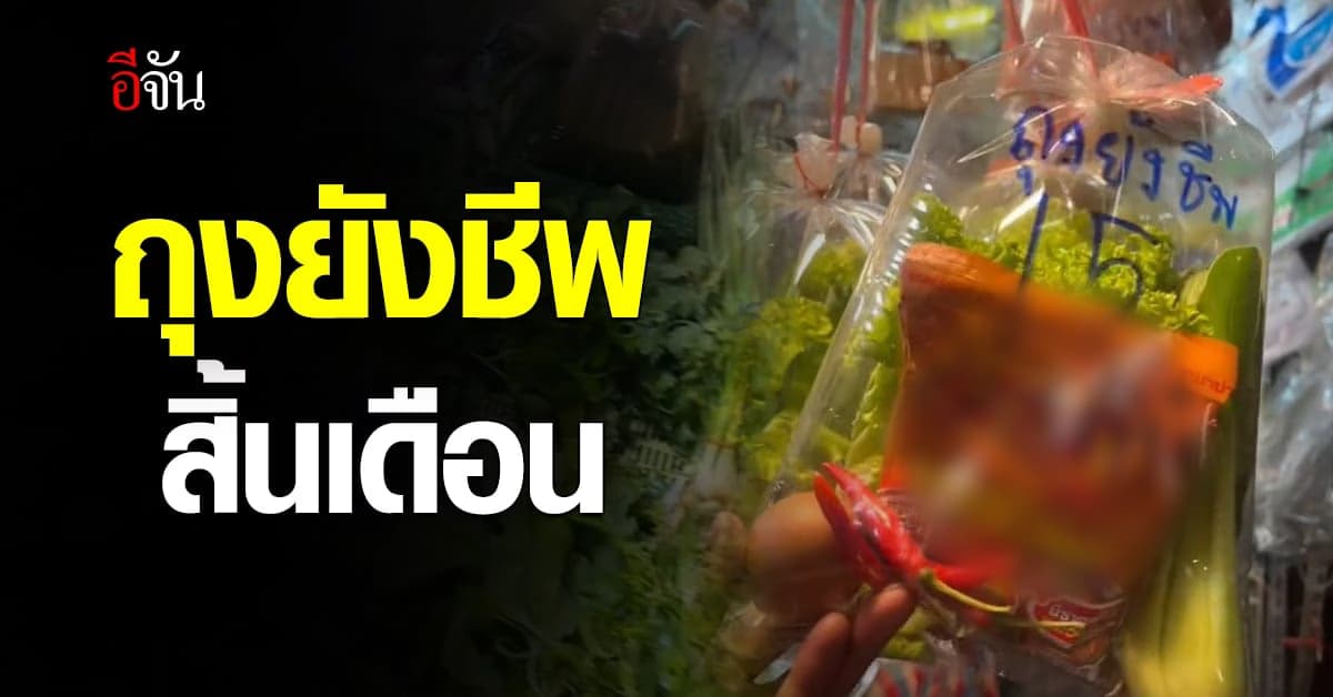 สุดยอดไอเดีย! ถุงยังชีพที่ตอบโจทย์การใช้ชีวิตยุคนี้