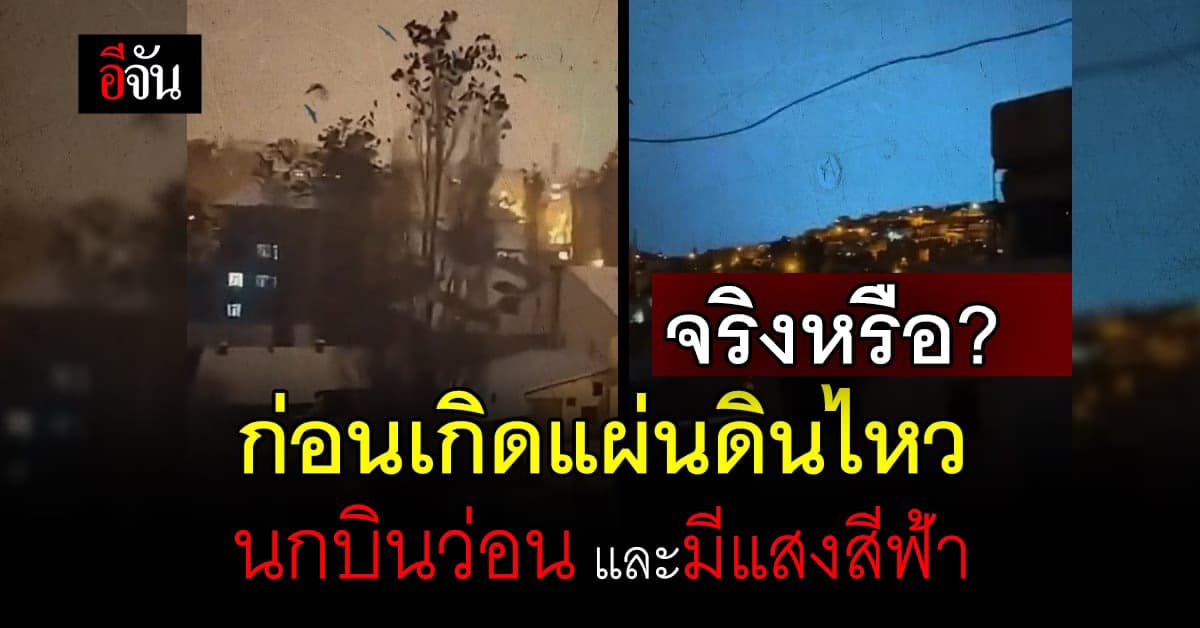 จริงหรือ? ก่อนเกิดแผ่นดินไหว นกจะไม่นอน และมีแสงสีฟ้า