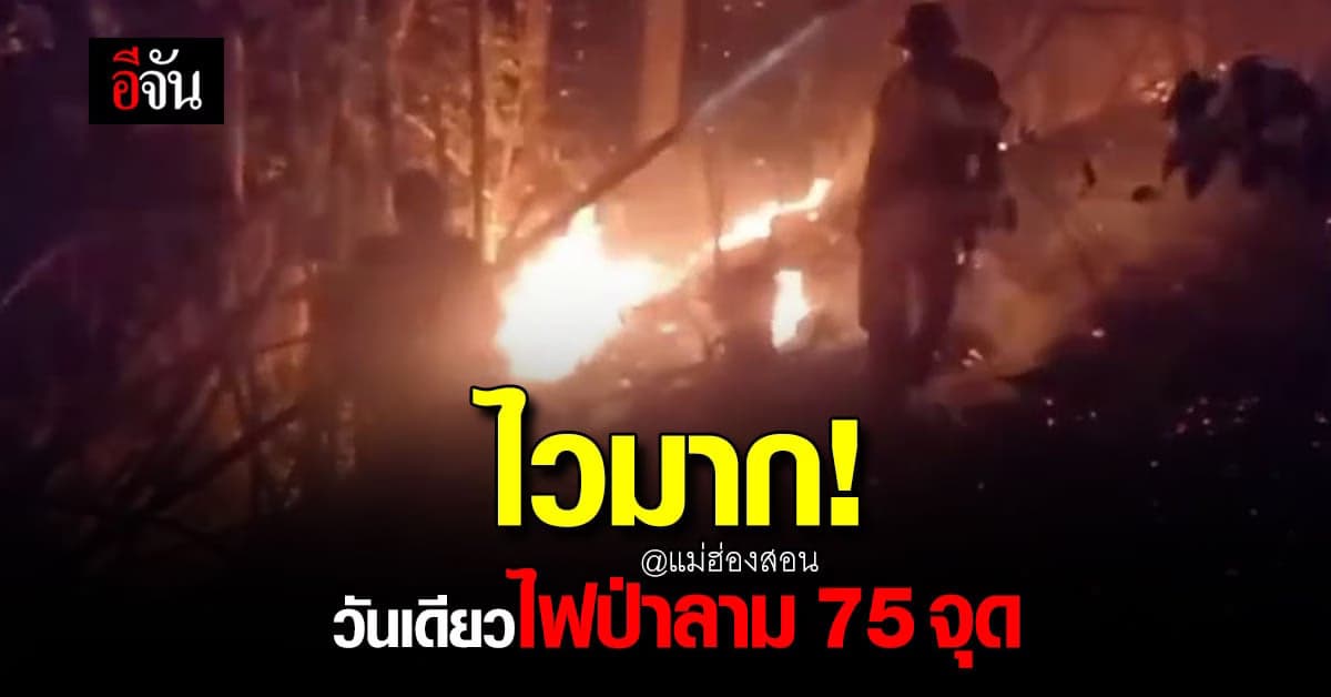 ไฟป่า แม่ฮ่องสอน ทะลักพรวด เกือบถึง 200 จุด ทำ ฝุ่นฟุ้ง รอบพื้นที่