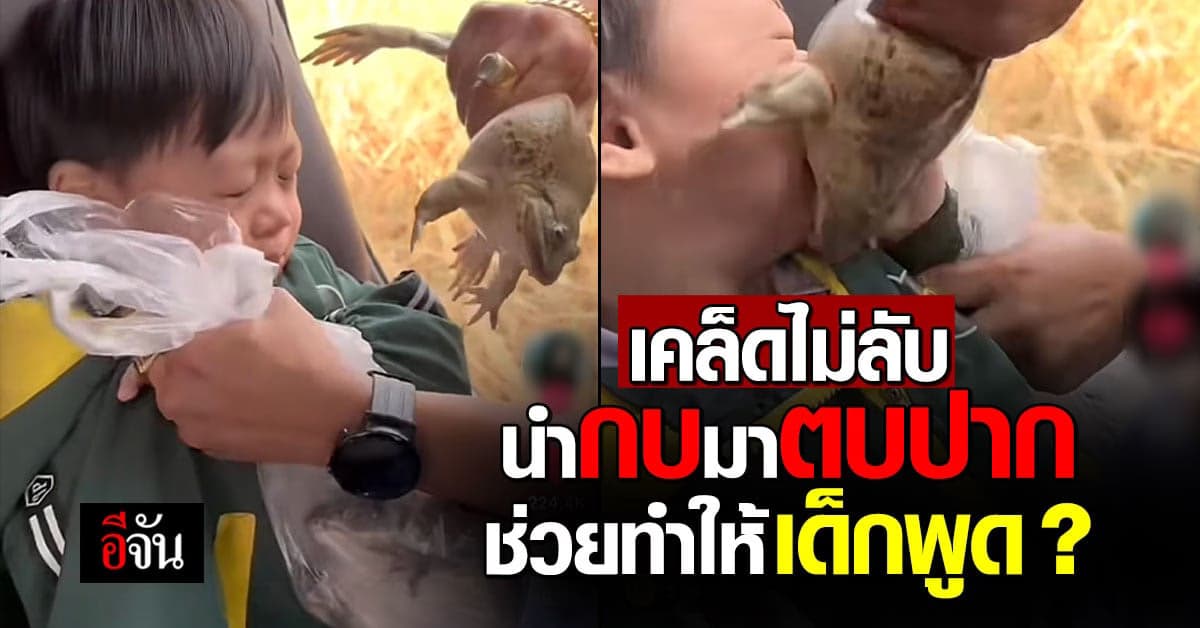 เคล็ดไม่ลับ ความเชื่อ นำกบมาตบปาก ช่วยทำให้เด็กพูด ?