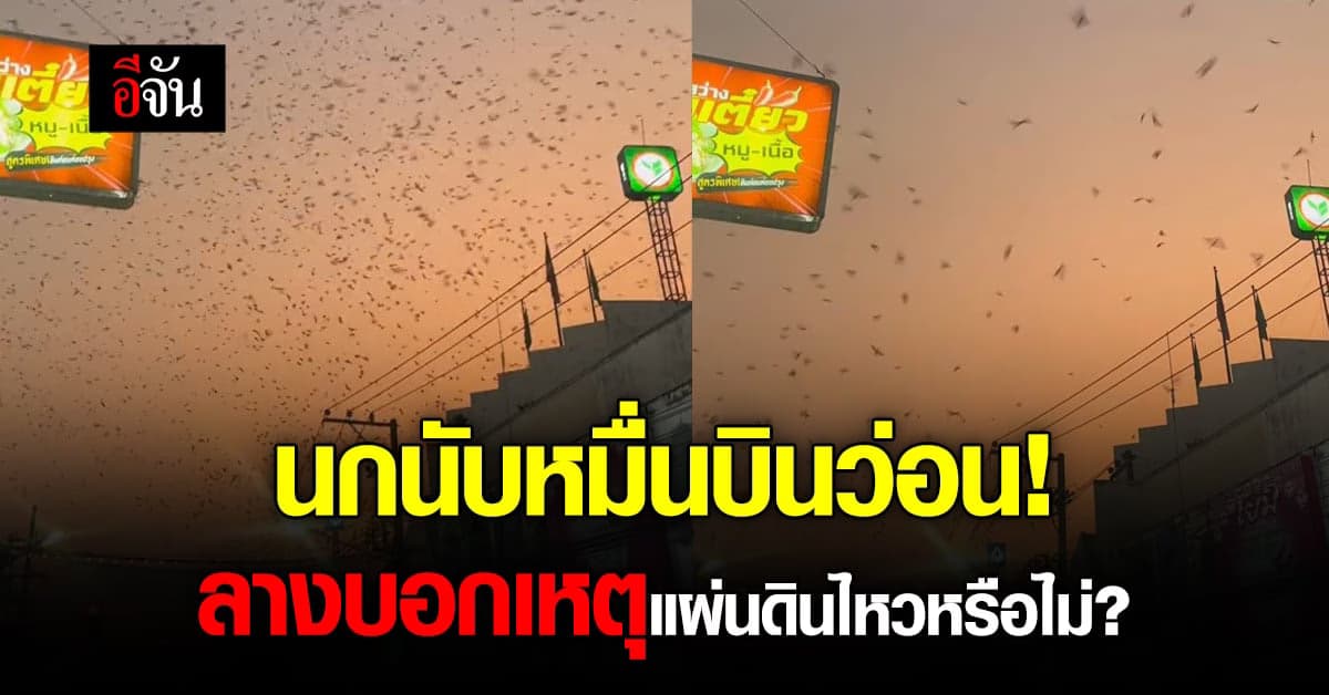 นกนับหมื่นบินว่อน! ลางบอกเหตุแผ่นดินไหวหรือไม่ ?