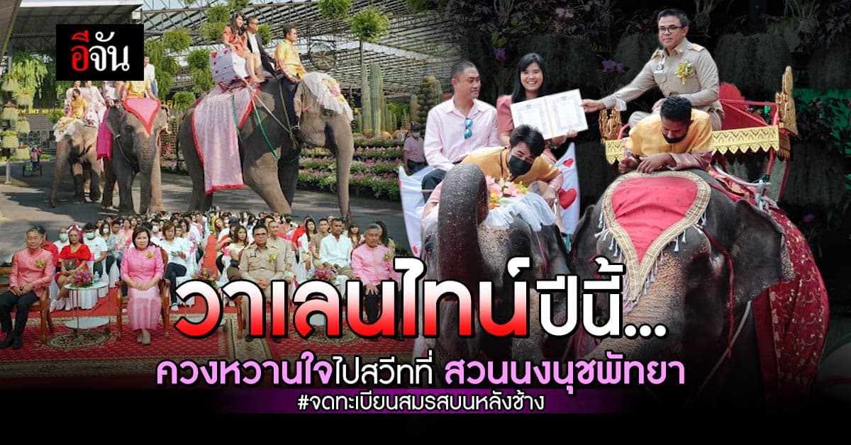อลังการ! จดทะเบียนสมรสบนหลังช้าง รับ วาเลนไทน์