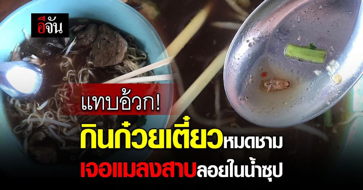 แทบอ้วก ลูกค้ากินก๋วยเตี๋ยวเกือบหมดชาม เจอแมลงสาบทั้งตัว