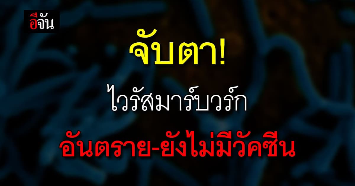 สธ.จับตา ไวรัสมาร์บวร์กระบาด อันตราย-ยังไม่มีวัคซีน