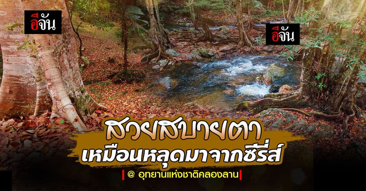 สวยเหมือนหลุดมาจากซีรี่ส์ ภาพใบไม้ร่วง ที่อุทยานแห่งชาติคลองลาน