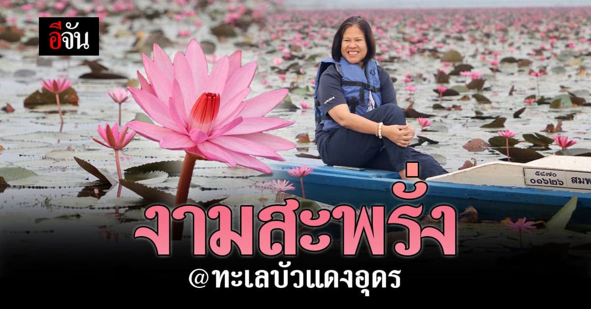 ทะเลบัวแดง อุดรธานี แลนด์มาร์กที่ใครๆ ก็ปักหมุดมา