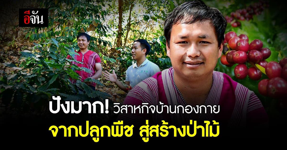 สุดปัง วิสาหกิจบ้านกองกาย ต้นแบบชุมชนปลูกกาแฟ พัฒนาเพื่อสร้างป่าไม้