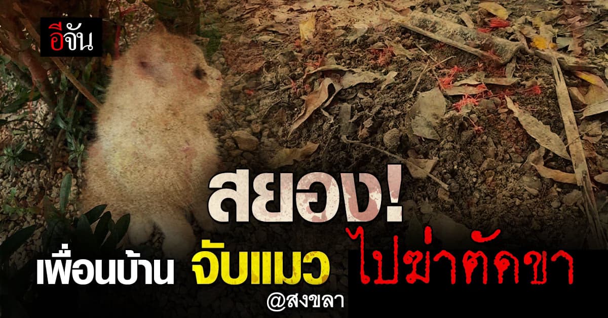 เพื่อนบ้านสยอง! จับแมวฆ่าตัดขา คาดนำไปบูชายัญ