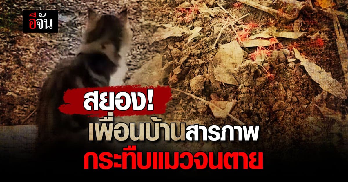 เพื่อนบ้านสยอง! กระทืบแมวจนตาย อ้างน้องฉี่ใส่พรม