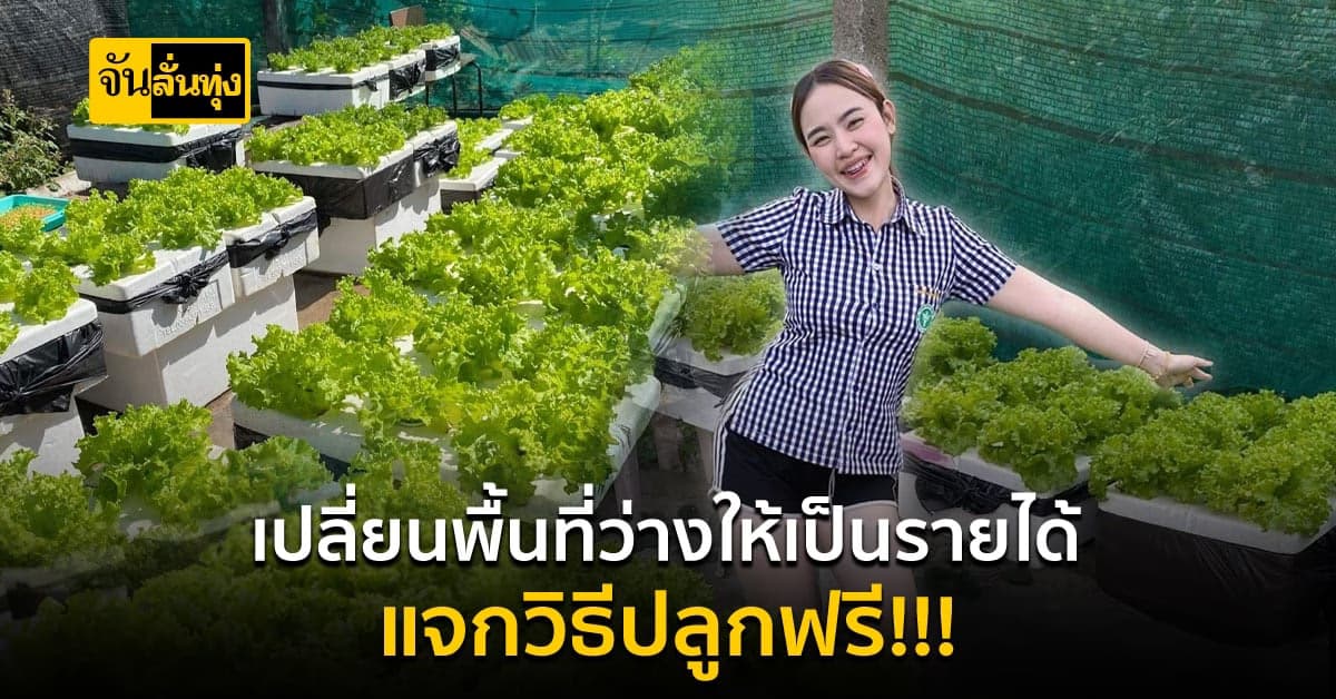 เปลี่ยนพื้นที่ว่างให้เป็นรายได้ ลงทุนหลักร้อย
