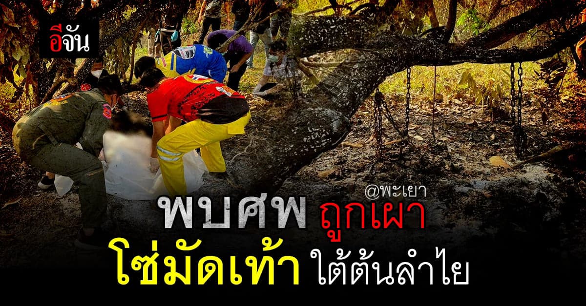 พบศพถูกเผา มีโซ่มัดเท้า ห้อยใต้ต้นลำใย : พะเยา