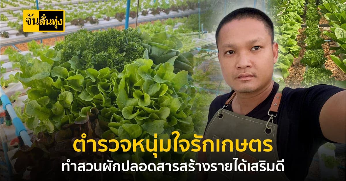 ตำรวจ ใช้เวลาว่างปลูกผักปลอดสาร ส่งขายสร้างรายได้หลักหมื่น!