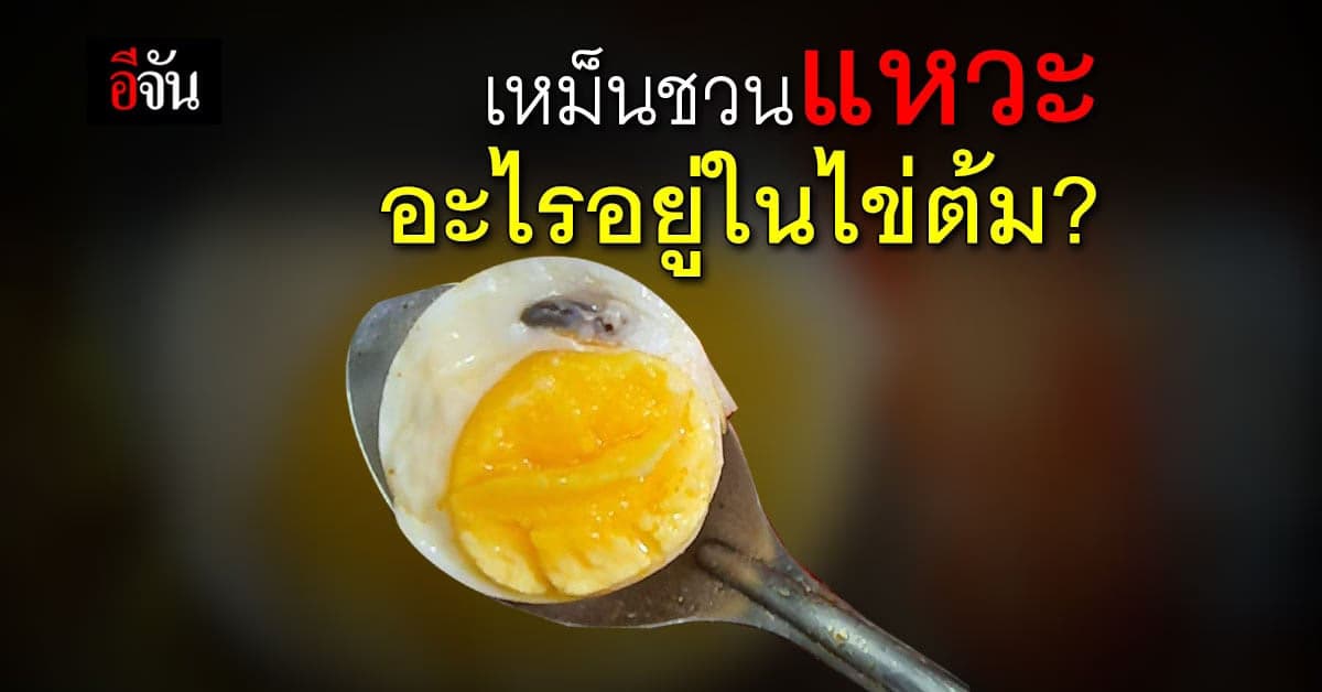 อ้วกพุ่ง! หนุ่มซื้อไข่ต้มจากร้านสะดวกซื้อ เจอสิ่งแปลกปลอมมีกลิ่นเหม็น