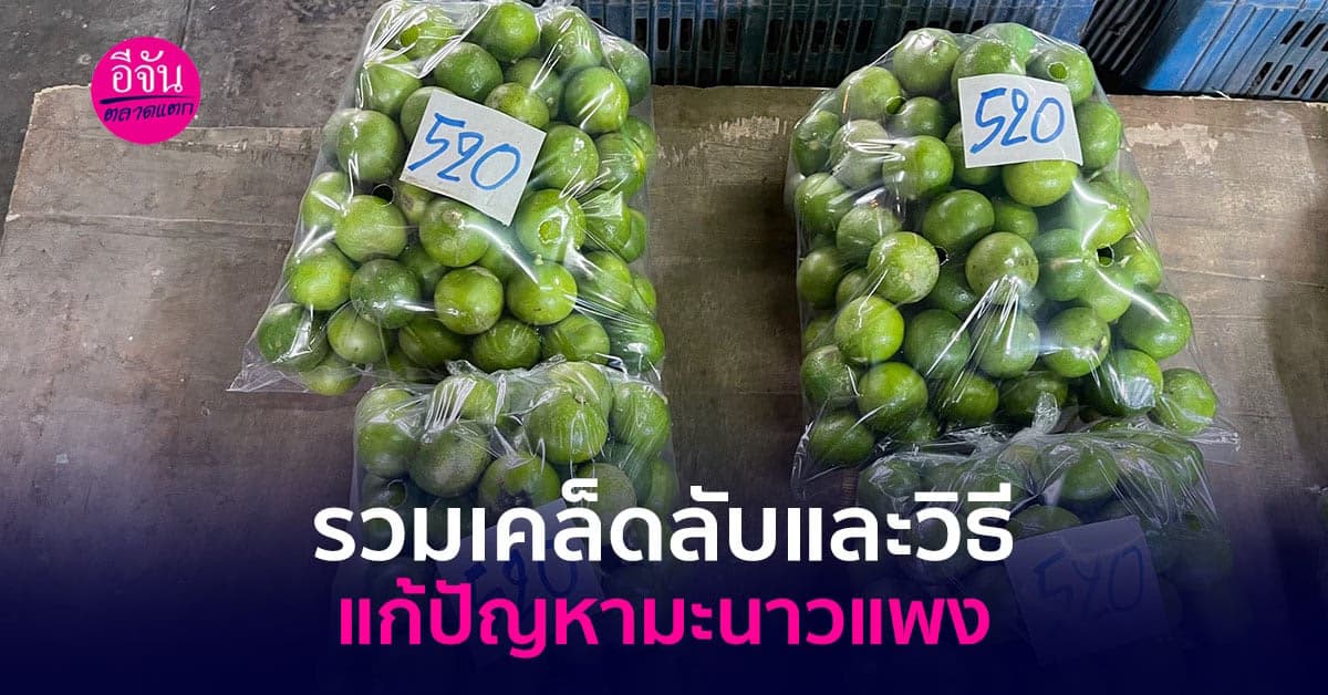 รวมเคล็ดลับและวิธีแก้ปัญหามะนาวแพง