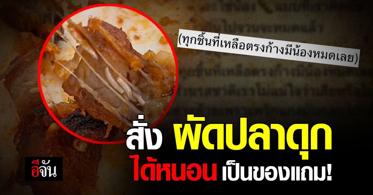 อ้วกแทบพุ่ง! สาวสั่งผัดปลาดุกมากิน แต่เจอหนอน ถูกทอดกรอบในปลาดุก