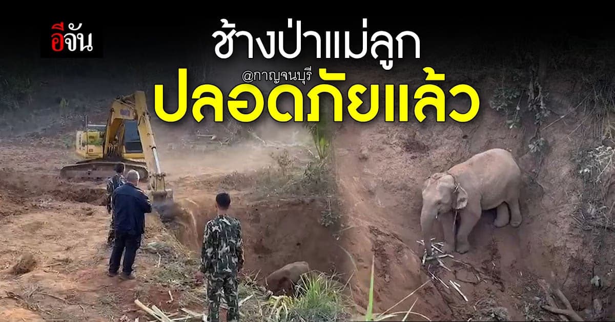 ช้างป่าแม่ลูก ตกหลุมลึก จ.กาญจนบุรี จนท.อุทยาน ช่วยได้แล้ว