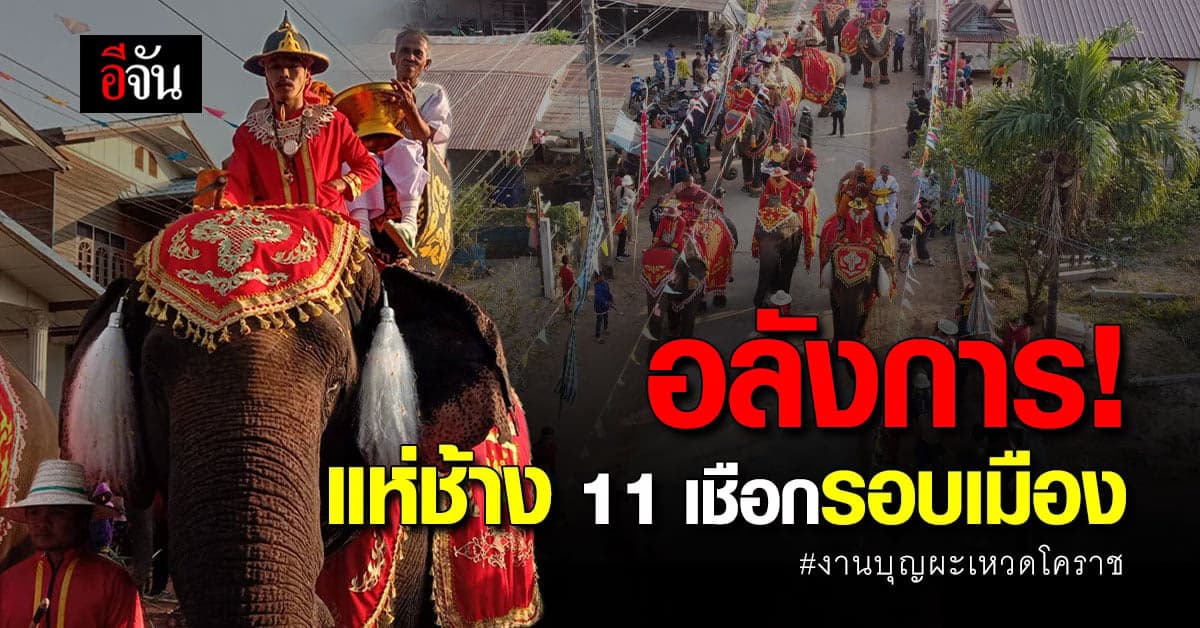 ช้าง 11 เชือก ร่วมขบวนแห่ พระอุปคุต งานบุญผะเหวด นครราชสีมา
