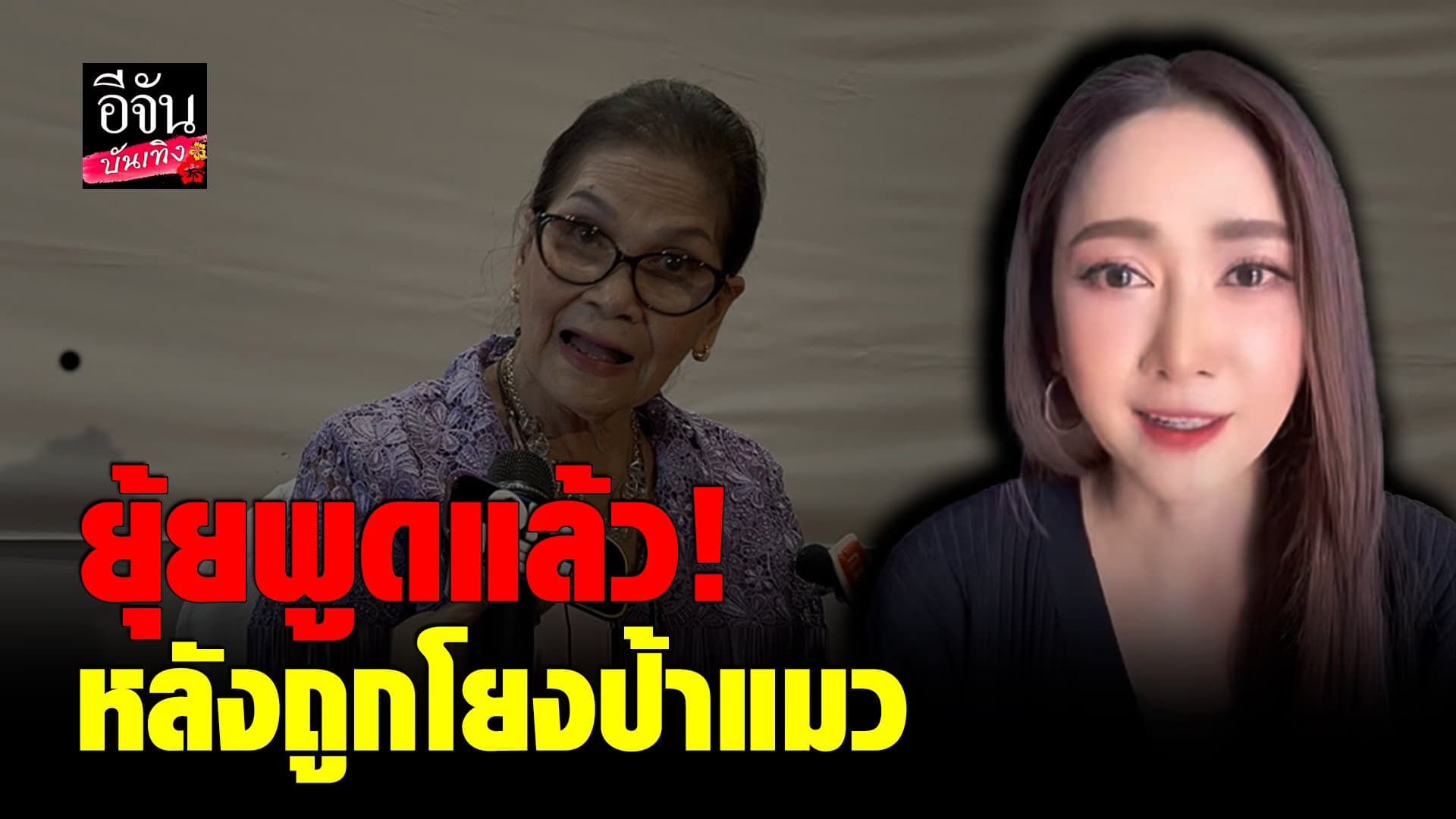 🎬 คลิปบันเทิง : ยุ้ย ชี้แจง ยันไม่เคยพูดว่าจะดูแล ป้าแมว ตลอดชีวิต