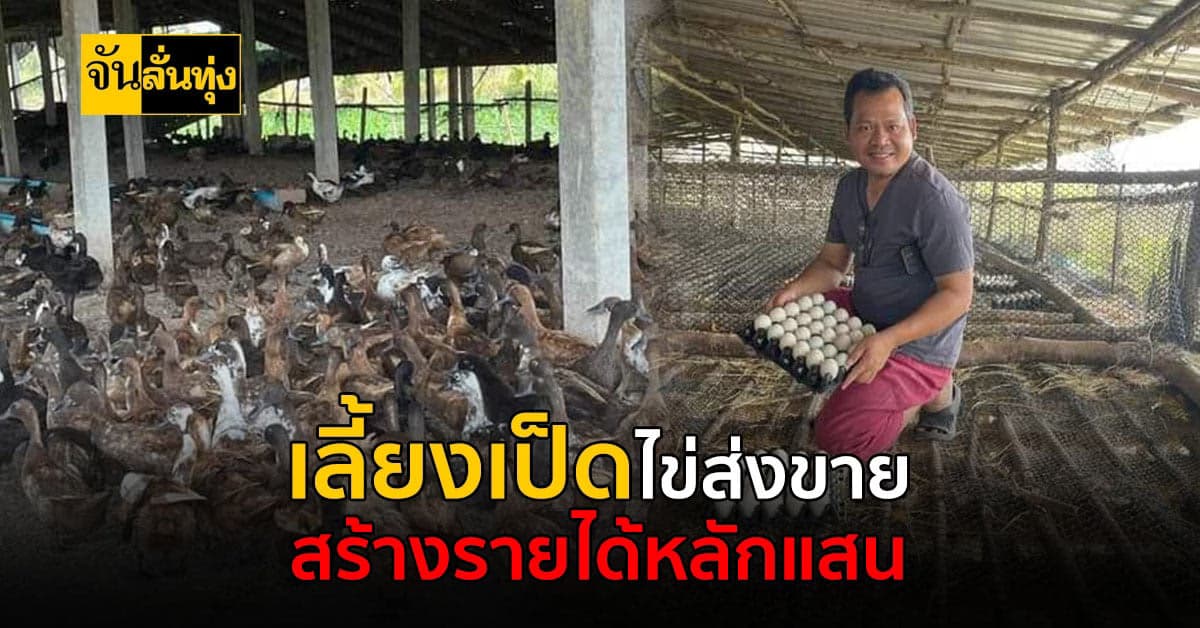 เลี้ยงเป็ดไข่ และแปรรูปส่งขายตามตลาด ได้เงินแสน!