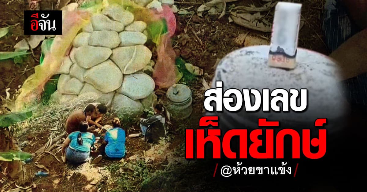 ชาวบ้านกะเหรี่ยง แก่นมะกรูด แห่ ขอเลข เห็ดยักษ์แปลก ก่อนวันหวยออก