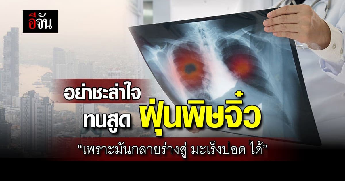 ระวัง วิกฤต PM2.5 เรื้อรัง ทำยีนส์กลายพันธุ์ ก่อโรคมะเร็งปอด