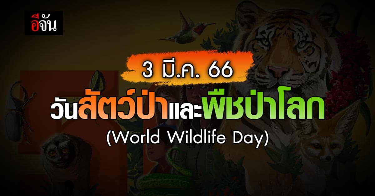 วันสัตว์ป่าและพืชป่าโลก (World Wildlife Day) 3 มี.ค. ของทุกปี