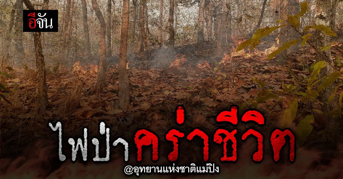 วิกฤตไฟป่าแม่ปิงคร่าชีวิต จนท.เผย สาเหตุเกิดจาก เผาเพื่อหาของป่า
